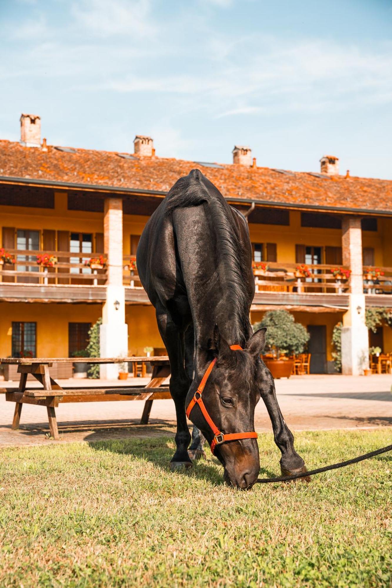 Agriturismo Bassanella Treviglio Bagian luar foto